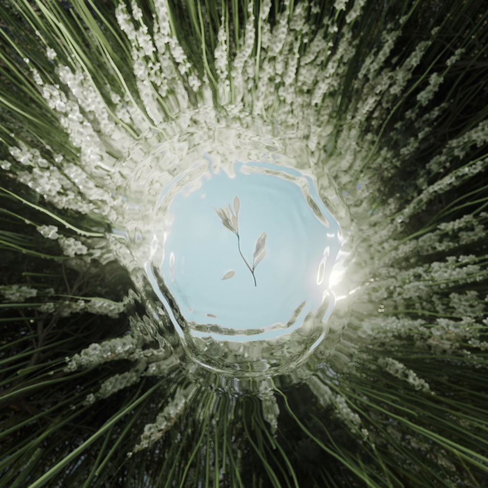 Six N. Five digital art at Moco Museum Amsterdam